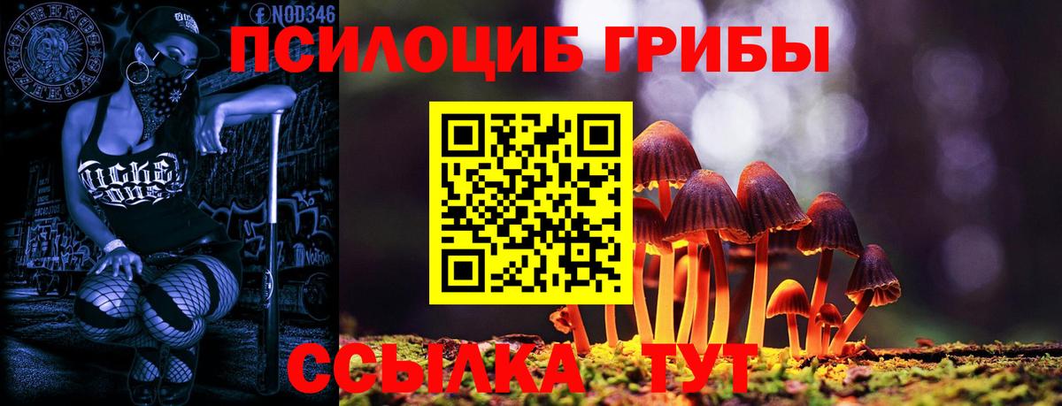 Галлюциногенные грибы Cubensis  купить наркоту  Иваново  Вход с VPN 