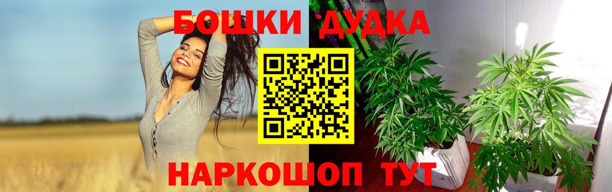 МАРИХУАНА план  Бошки марихуана конопля  Иваново  Конопля Bruce Banner  Вход с VPN 